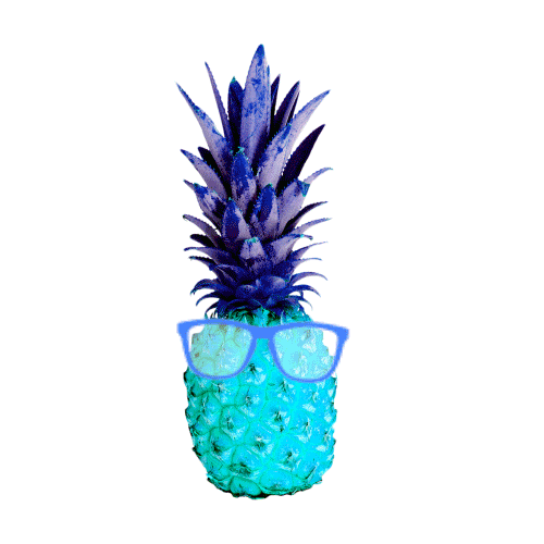 Geevofficiel giphyupload fun fruit pineapple Sticker