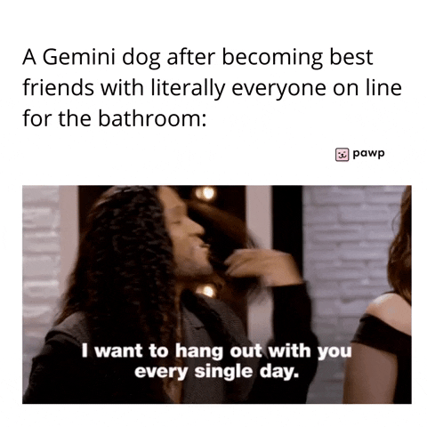 mypawp giphyupload GIF