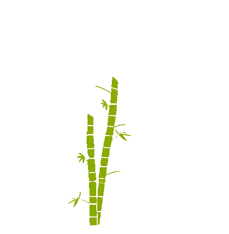 Sticker by Avani Eco