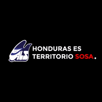 aerolineasosa viajar honduras sosa aerolinea GIF