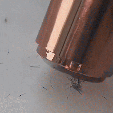 nabavkica giphyupload GIF