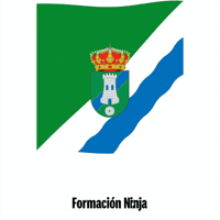 Castilla Y Leon Flag GIF by Formación Ninja
