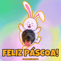 Dog Puppy GIF
