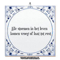 Storm Hoop Sticker by Tegelspreuken.nl