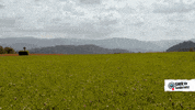 Im Out On My Way GIF by SWR Kindernetz