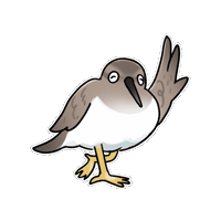 Firuo_drawingbirds wader 鷸鳥 磯鷸 actitis hypoleucos Sticker