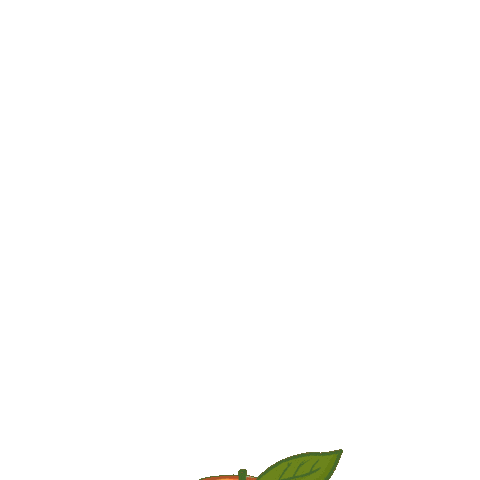 Senate Race Peach Sticker by Creative Courage