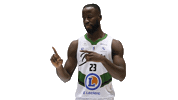 Ada Blois Sticker by ADA Blois Basket 41