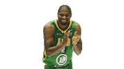 Ada Blois Sticker by ADA Blois Basket 41