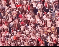 Fans Osu GIF by Oklahoma State University