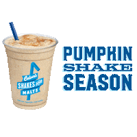 Ice Cream Fall Sticker by Culver's