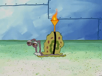 season 3 the great snail race GIF by SpongeBob SquarePants