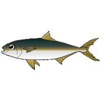 Fish 魚 Sticker by magbite