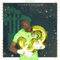 Soccer Futebol GIF by SE Palmeiras