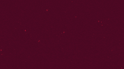 Acsparta Krejci GIF by AC Sparta Praha