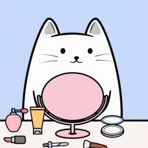 Cat GIF by MESA My Emotional Support Animal