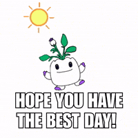 Good Morning Hello GIF by Magic Eden