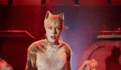 Cat Meow GIF by Cats Movie