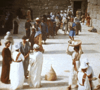 Muerto Musica Catalana GIF by Guillem Gisbert