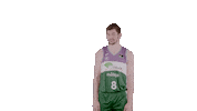 Liga Endesa Basketball Sticker by ACB