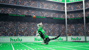 Todd Gurley Cat GIF by HULU