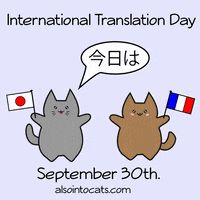 International Cat Day GIF