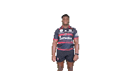 Odiase Sticker by OYONNAX RUGBY OFFICIEL