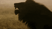 Snarling Nat Geo Wild GIF by Savage Kingdom