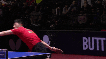 Ping Pong Bat GIF by ITTFWorld