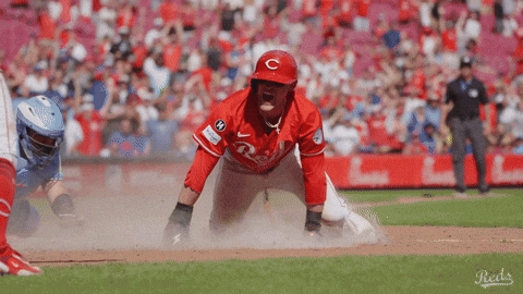 Celebration Baseball GIF by Cincinnati Reds