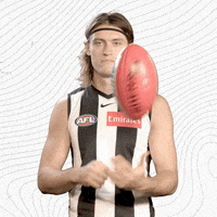 GIF by CollingwoodFC