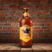 Saint Saintbier GIF by Cervejaria Santa Catarina