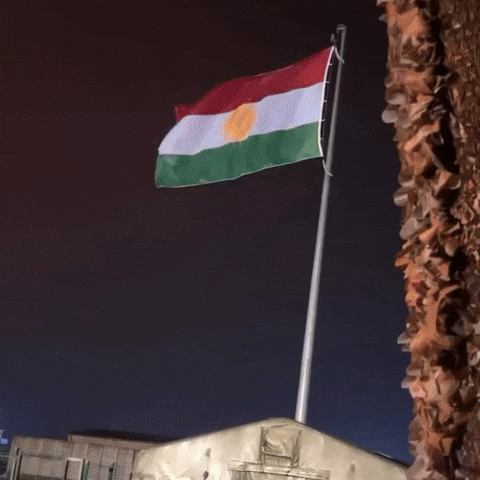 Flag Al GIF