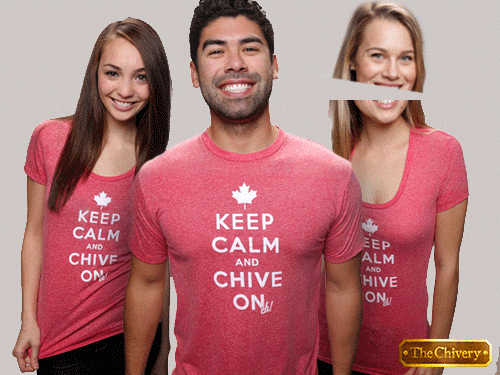 canada GIF by theCHIVE