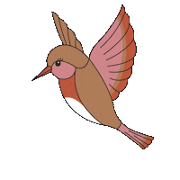 Bird Hummingbird Sticker by Benefit Cosmetics