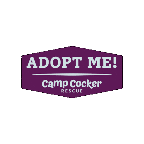 Campcocker2025 Sticker by Camp Cocker Rescue