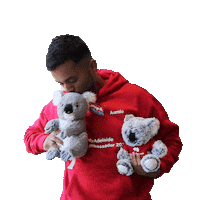 Koala Sticker by Study Adelaide