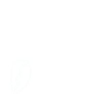 Buzios Orixa Sticker