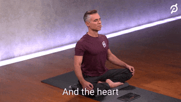 Thanksgiving GIF by Peloton