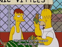 homer simpson GIF