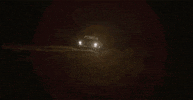 Rock N Roll GIF by The Marcus King Band