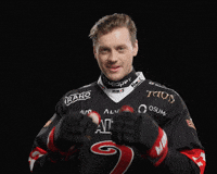 Hockey Liiga GIF by JYP