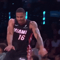 Miami Heat GIF