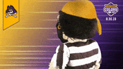 College Sports Mascots GIF by College Colors Day