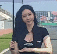 Model GIF