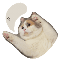 kungfuya cat 고양이 쿵푸야 김푸 Sticker