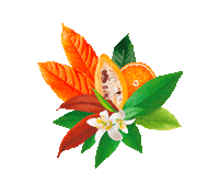 choice-organic choice bouquet teatime organic tea Sticker