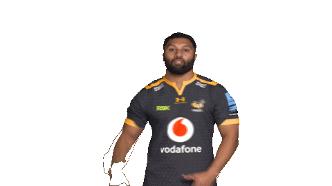 Rugby Sticker by Wasps