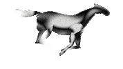 Horse Running Sticker by Ardas Archive