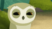 sleep owl GIF by Puffin Rock